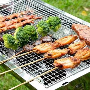 Disposable Grill Toppers BBQ Grill Net Baking mesh mats Barbecue Grill net Stainless Steel Cross Wire